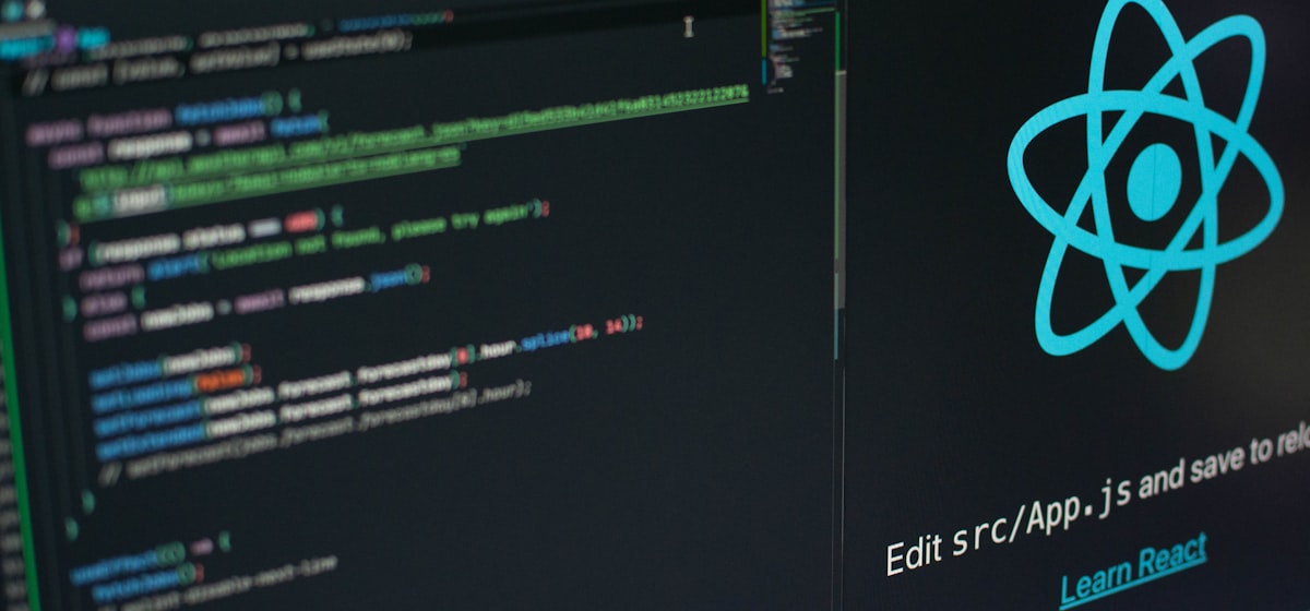 ReactJS frontend development, Next.js applications and component UI — Digital Pathway